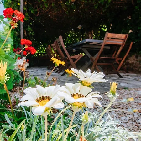 Lily Comfortable Villa Veli Iž