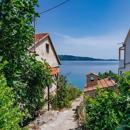 Villa Lily Comfortable Veli Iž
