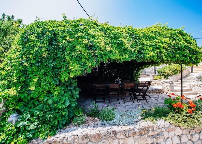 Lily Comfortable * Вели-Иж