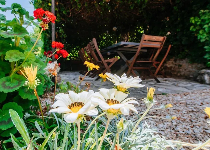 Lily Comfortable Вилла Вели-Иж