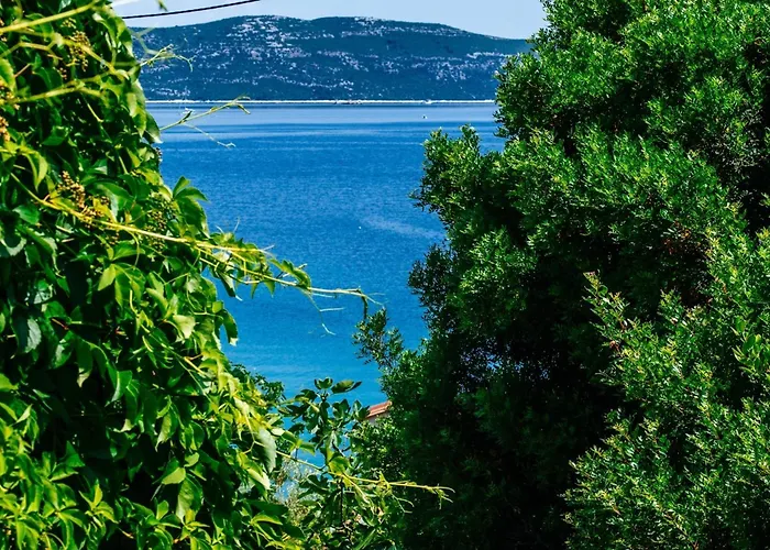 Lily * Veli Iž